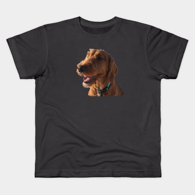 Goldendoodle Smile Kids T-Shirt by AR100AR